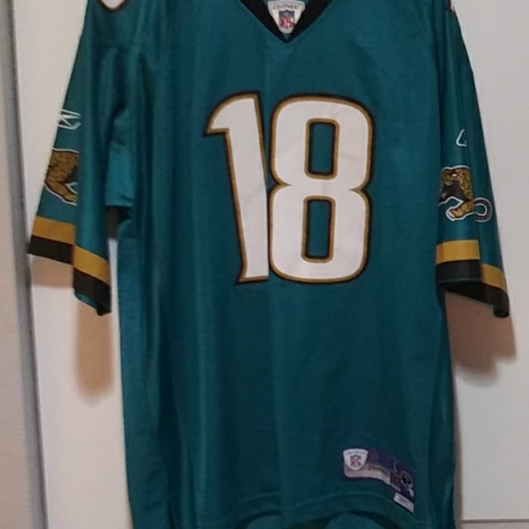 Jaguar jersey - Picture 2 of 2